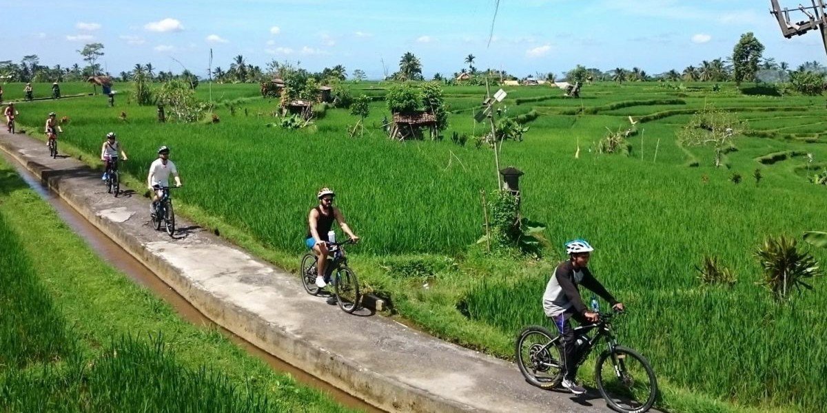 UBUD CYCLING TOURS